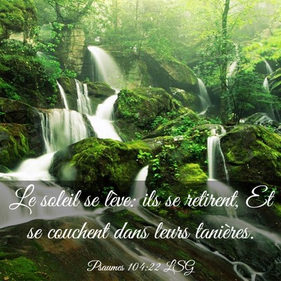Picture 03 - Psaumes 104:22 LSG - Le soleil se lève: ils se retirent, Et se - Bible Verse Picture