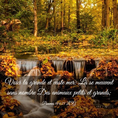 Picture 03 - Psaumes 104:25 LSG - Voici la grande et vaste mer: Là se meuvent sans - Bible Verse Picture