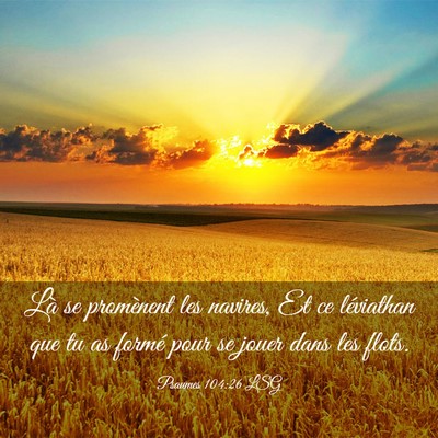 Picture 03 - Psaumes 104:26 LSG - Là se promènent les navires, Et ce léviathan - Bible Verse Picture