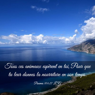 Picture 03 - Psaumes 104:27 LSG - Tous ces animaux espèrent en toi, Pour que tu - Bible Verse Picture