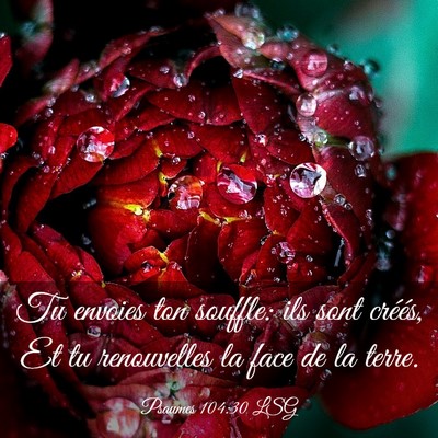 Picture 03 - Psaumes 104:30 LSG - Tu envoies ton souffle: ils sont créés, Et tu - Bible Verse Picture