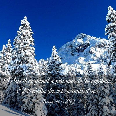 Picture 03 - Psaumes 105:14 LSG - Mais il ne permit à personne de les opprimer, Et - Bible Verse Picture