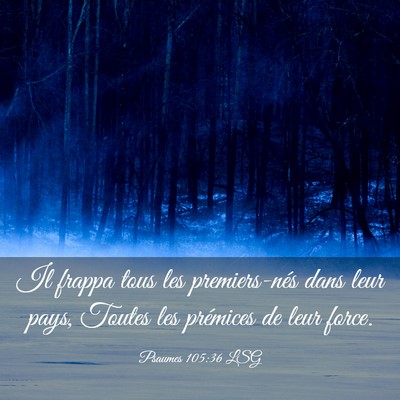 Picture 03 - Psaumes 105:36 LSG - Il frappa tous les premiers-nés dans leur pays, - Bible Verse Picture