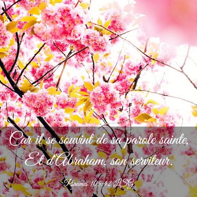 Picture 03 - Psaumes 105:42 LSG - Car il se souvint de sa parole sainte, Et - Bible Verse Picture