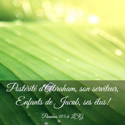 Picture 03 - Psaumes 105:6 LSG - Postérité d'Abraham, son serviteur, Enfants de - Bible Verse Picture