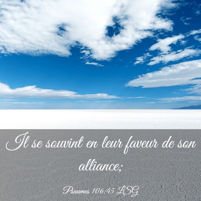 Picture 03 - Psaumes 106:45 LSG - Il se souvint en leur faveur de son - Bible Verse Picture