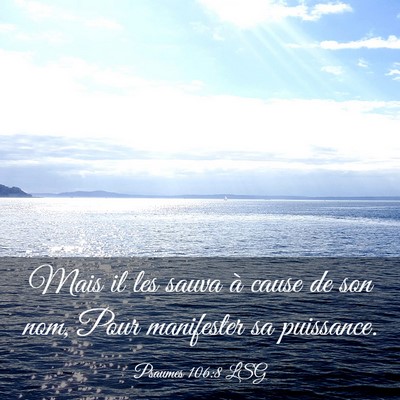 Picture 03 - Psaumes 106:8 LSG - Mais il les sauva à cause de son nom, Pour - Bible Verse Picture