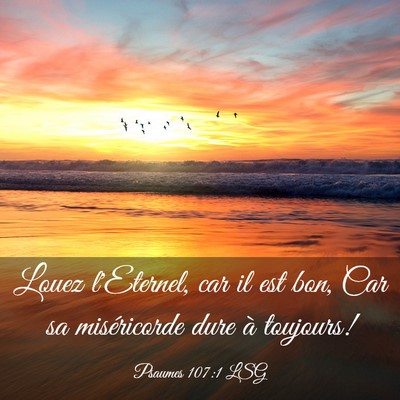 Picture 03 - Psaumes 107:1 LSG - Louez l'Eternel, car il est bon, Car sa - Bible Verse Picture
