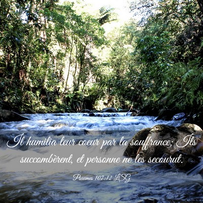 Picture 03 - Psaumes 107:12 LSG - Il humilia leur coeur par la souffrance; Ils - Bible Verse Picture