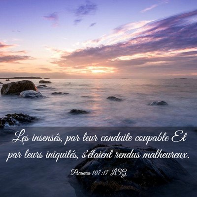 Picture 03 - Psaumes 107:17 LSG - Les insensés, par leur conduite coupable Et par - Bible Verse Picture