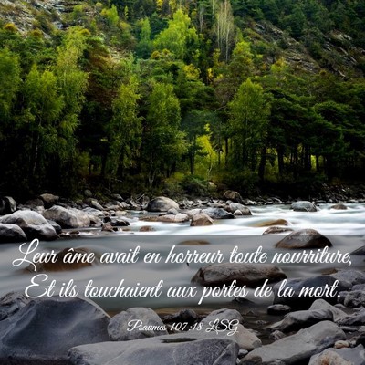 Picture 03 - Psaumes 107:18 LSG - Leur âme avait en horreur toute nourriture, Et - Bible Verse Picture