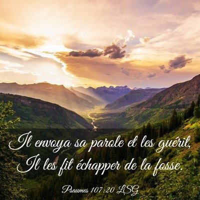 Picture 03 - Psaumes 107:20 LSG - Il envoya sa parole et les guérit, Il les fit - Bible Verse Picture