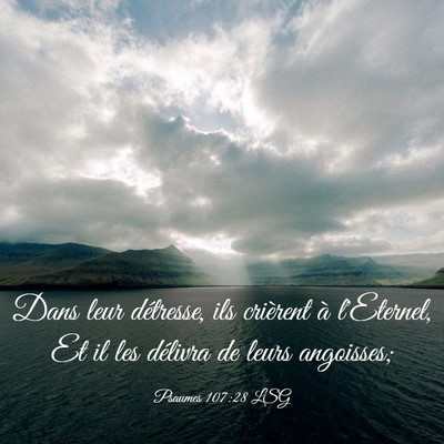 Picture 03 - Psaumes 107:28 LSG - Dans leur détresse, ils crièrent à l'Eternel, - Bible Verse Picture