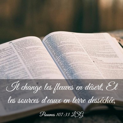 Picture 03 - Psaumes 107:33 LSG - Il change les fleuves en désert, Et les sources - Bible Verse Picture
