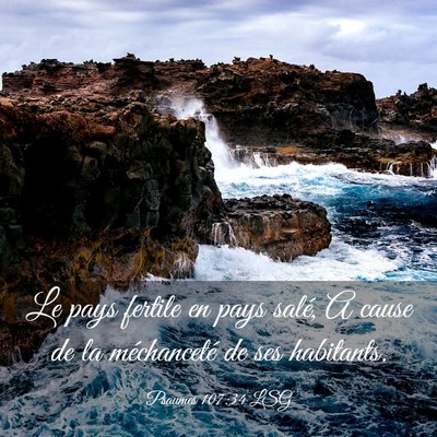 Picture 03 - Psaumes 107:34 LSG - Le pays fertile en pays salé, A cause de la - Bible Verse Picture