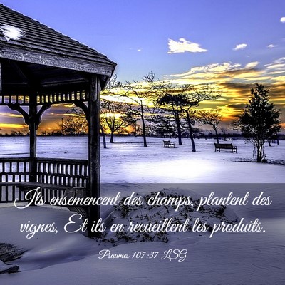 Picture 03 - Psaumes 107:37 LSG - Ils ensemencent des champs, plantent des vignes, - Bible Verse Picture