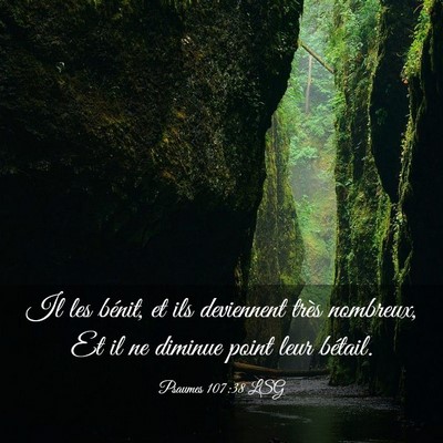 Picture 03 - Psaumes 107:38 LSG - Il les bénit, et ils deviennent très nombreux, - Bible Verse Picture