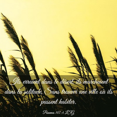 Picture 03 - Psaumes 107:4 LSG - Ils erraient dans le désert, ils marchaient dans - Bible Verse Picture