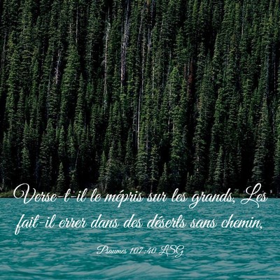 Picture 03 - Psaumes 107:40 LSG - Verse-t-il le mépris sur les grands, Les fait-il - Bible Verse Picture