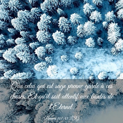 Picture 03 - Psaumes 107:43 LSG - Que celui qui est sage prenne garde à ces - Bible Verse Picture