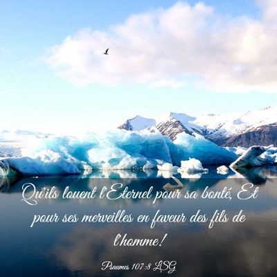 Picture 03 - Psaumes 107:8 LSG - Qu'ils louent l'Eternel pour sa bonté, Et pour - Bible Verse Picture