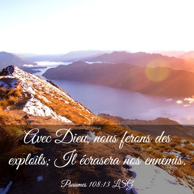 Picture 03 - Psaumes 108:13 LSG - Avec Dieu, nous ferons des exploits; Il écrasera - Bible Verse Picture