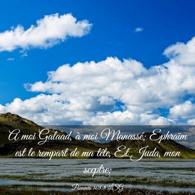 Picture 03 - Psaumes 108:8 LSG - A moi Galaad, à moi Manassé; Ephraïm est le - Bible Verse Picture