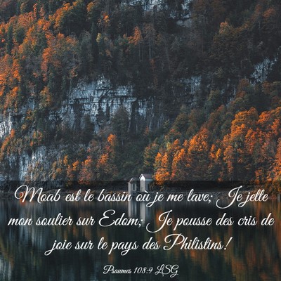 Picture 03 - Psaumes 108:9 LSG - Moab est le bassin où je me lave; Je jette mon - Bible Verse Picture