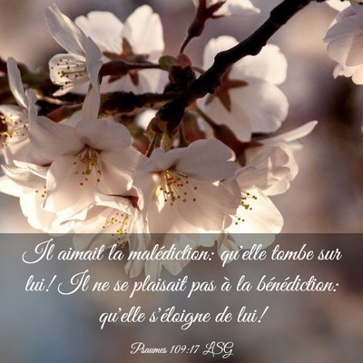 Picture 03 - Psaumes 109:17 LSG - Il aimait la malédiction: qu'elle tombe sur lui! - Bible Verse Picture
