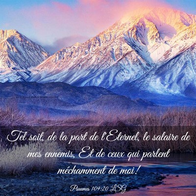 Picture 03 - Psaumes 109:20 LSG - Tel soit, de la part de l'Eternel, le salaire de - Bible Verse Picture