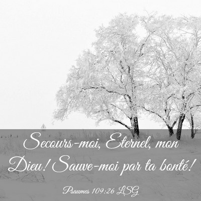Picture 03 - Psaumes 109:26 LSG - Secours-moi, Eternel, mon Dieu! Sauve-moi par ta - Bible Verse Picture