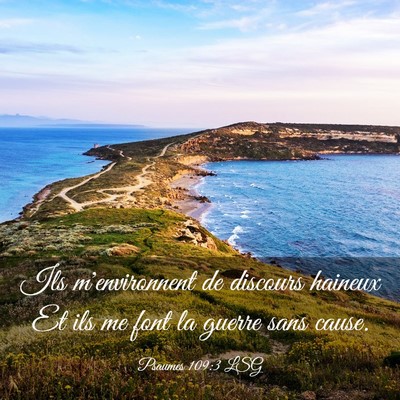 Picture 03 - Psaumes 109:3 LSG - Ils m'environnent de discours haineux Et ils me - Bible Verse Picture