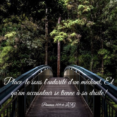 Picture 03 - Psaumes 109:6 LSG - Place-le sous l'autorité d'un méchant, Et qu'un - Bible Verse Picture
