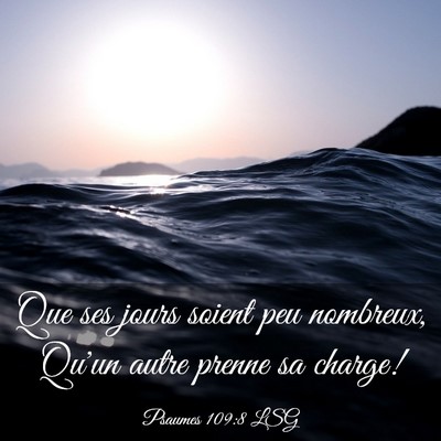 Picture 03 - Psaumes 109:8 LSG - Que ses jours soient peu nombreux, Qu'un autre - Bible Verse Picture