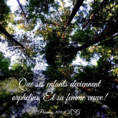 Picture 03 - Psaumes 109:9 LSG - Que ses enfants deviennent orphelins, Et sa femme - Bible Verse Picture