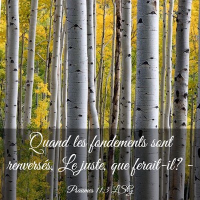 Picture 03 - Psaumes 11:3 LSG - Quand les fondements sont renversés, Le juste, - Bible Verse Picture