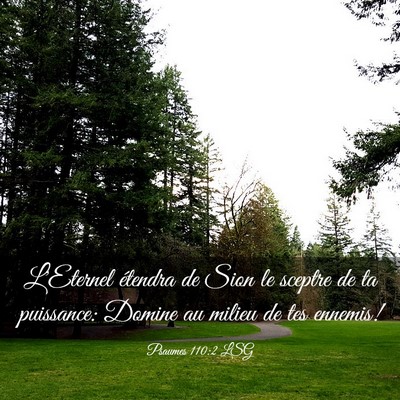 Picture 03 - Psaumes 110:2 LSG - L'Eternel étendra de Sion le sceptre de ta - Bible Verse Picture