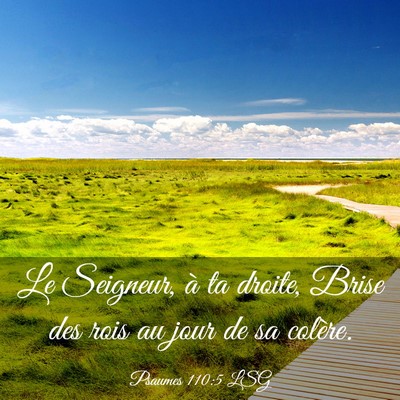 Picture 03 - Psaumes 110:5 LSG - Le Seigneur, à ta droite, Brise des rois au jour - Bible Verse Picture