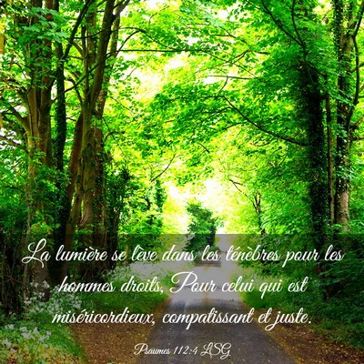 Picture 03 - Psaumes 112:4 LSG - La lumière se lève dans les ténèbres pour les - Bible Verse Picture