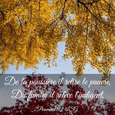 Picture 03 - Psaumes 113:7 LSG - De la poussière il retire le pauvre, Du fumier - Bible Verse Picture