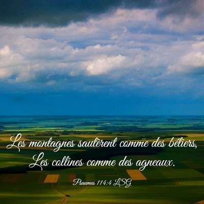 Picture 03 - Psaumes 114:4 LSG - Les montagnes sautèrent comme des béliers, Les - Bible Verse Picture
