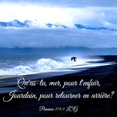 Picture 03 - Psaumes 114:5 LSG - Qu'as-tu, mer, pour t'enfuir, Jourdain, pour - Bible Verse Picture