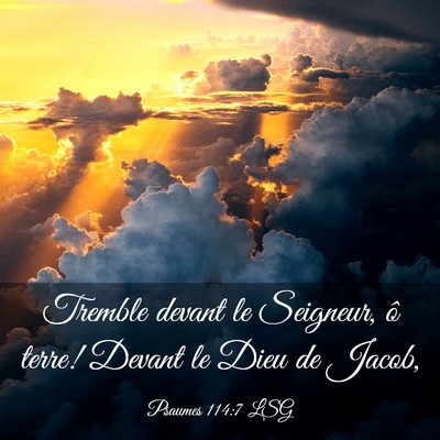 Picture 03 - Psaumes 114:7 LSG - Tremble devant le Seigneur, ô terre! Devant le - Bible Verse Picture