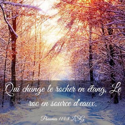 Picture 03 - Psaumes 114:8 LSG - Qui change le rocher en étang, Le roc en source - Bible Verse Picture
