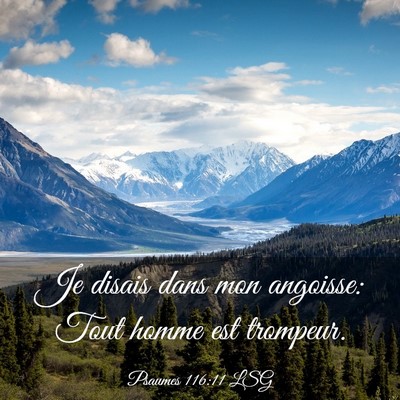 Picture 03 - Psaumes 116:11 LSG - Je disais dans mon angoisse: Tout homme est - Bible Verse Picture