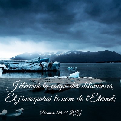 Picture 03 - Psaumes 116:13 LSG - J'élèverai la coupe des délivrances, Et - Bible Verse Picture