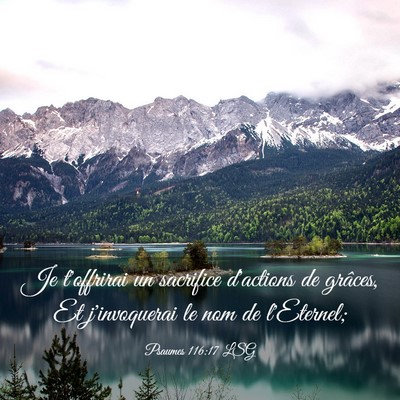 Picture 03 - Psaumes 116:17 LSG - Je t'offrirai un sacrifice d'actions de grâces, - Bible Verse Picture