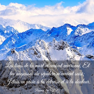 Picture 03 - Psaumes 116:3 LSG - Les liens de la mort m'avaient environné, Et les - Bible Verse Picture