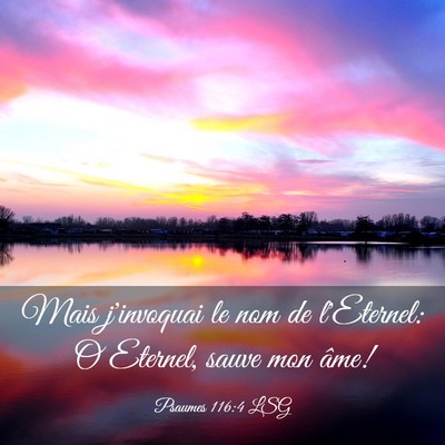Picture 03 - Psaumes 116:4 LSG - Mais j'invoquai le nom de l'Eternel: O Eternel, - Bible Verse Picture