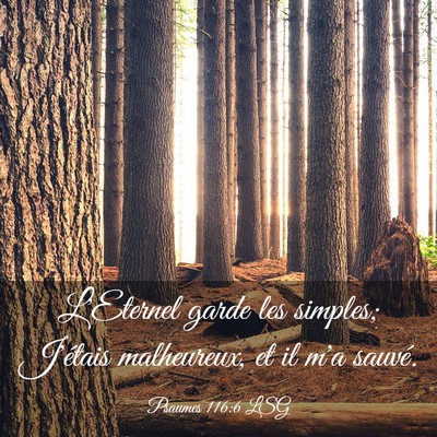 Picture 03 - Psaumes 116:6 LSG - L'Eternel garde les simples; J'étais malheureux, - Bible Verse Picture